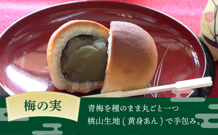 【老舗の菓子屋】築上銘菓「 梅の実 」12 個《築上町》【有限会社 御菓子司 鹿の子】 [ABAC019]