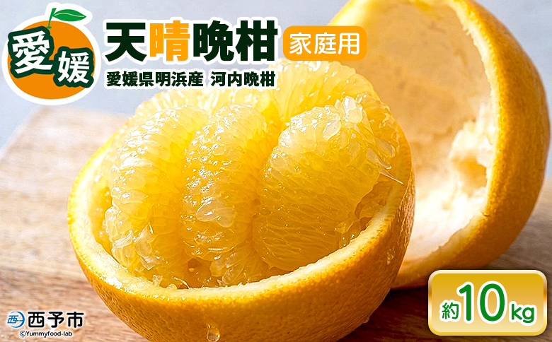 【先行予約】＜天晴晩柑（河内晩柑）約10kg 愛媛県明浜産 ＞『2027年4月上旬～5月下旬迄に順次出荷予定』家庭用 果物 柑橘 みかん 和製 グレープフルーツ 食べて応援 特産品 愛媛県 西予市【常温】