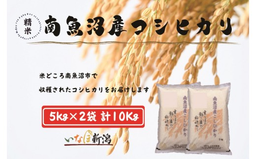 
                  【令和7年産米】南魚沼産コシヒカリ 白米 10kg【銘柄米 ブランド米 精米 こしひかり コシヒカリ 魚沼産 新潟米 産地直送 お米 米 こめ コメ ご飯 御飯 ごはん】
                