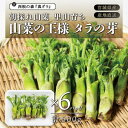 【ふるさと納税】朝採れ山菜 タラの芽 600g【配送不可地域：離島・北海道・沖縄県・信越、北陸・東海・近畿・中国・四国・九州】【1448803】