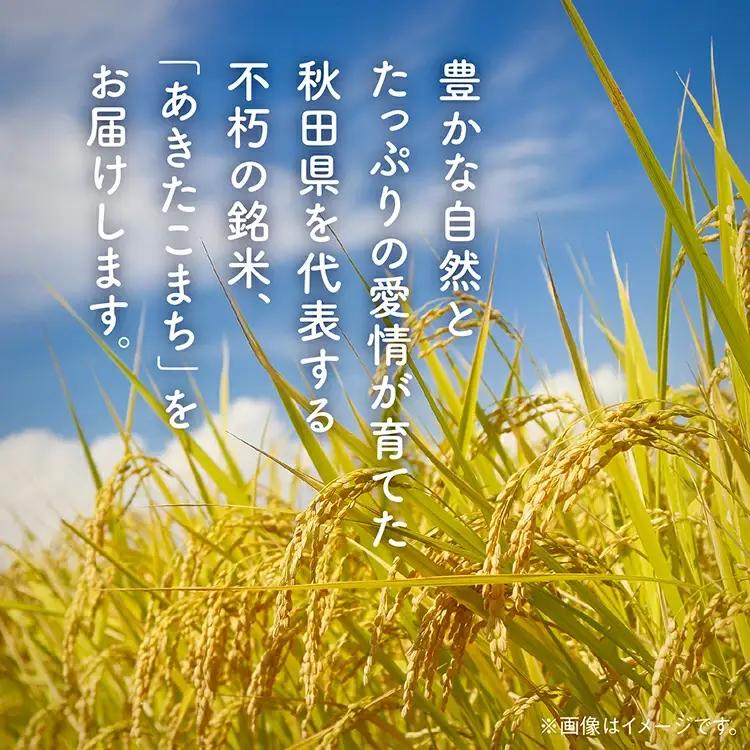 【定期便3回】潟上市産あきたこまち（精米）10kg × 3ヶ月【鐙惣米穀店】