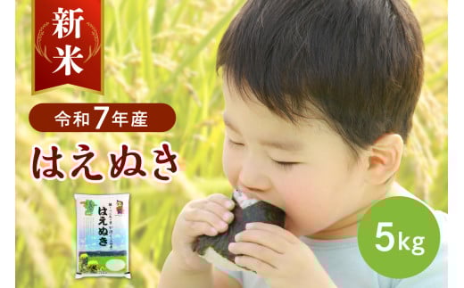 【令和7年産米】2025年12月中旬発送 はえぬき5kg 山形県産 【JAさがえ西村山】