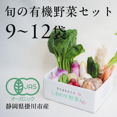 ふるさと納税 掛川市 【毎月定期便】しあわせ野菜畑の有機野菜　Lセット　(安心の有機JAS認証　オーガニック野菜)全12回