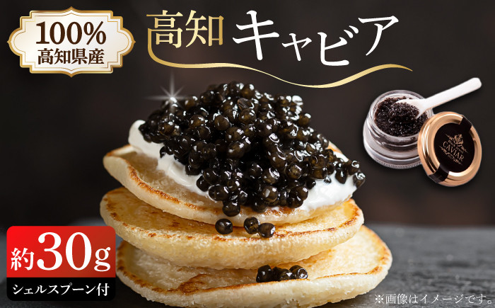 
            高知産熟成キャビア 約30g (化粧箱) シェルスプーン付Black Jewel 【興洋フリーズ株式会社】 [ATBX010]
          