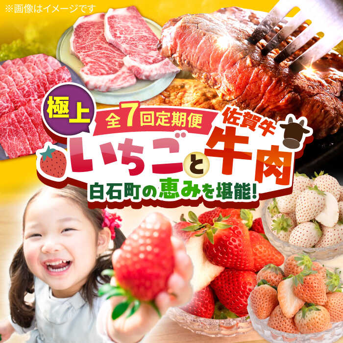【ふるさと納税】【R8年1月以降発送】【全7回定期便】産地直送！白石町産 いちご と 牛肉 の極上定期便 / イチゴ 苺 果物 フルーツ 黒毛和牛 お肉 肉 ステーキ 焼肉 すき焼き しゃぶしゃぶ 佐賀県 白石町 [IZZ014]