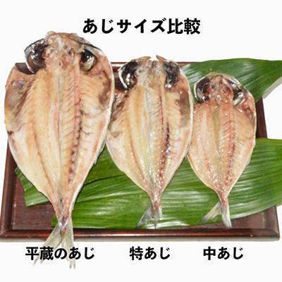 ふるさと納税 伊東市 干物セット【特トロあじ10枚セット】　伊豆・伊東のひもの詰め合わせ　静岡県伊東 |  | 01