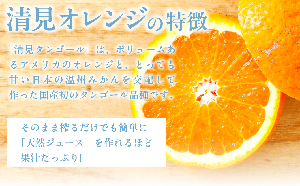 【先行受付】【※超訳あり】清見オレンジ 10kg ※離島への配送不可（2026年3月中旬より順次発送） IKTAB010 
