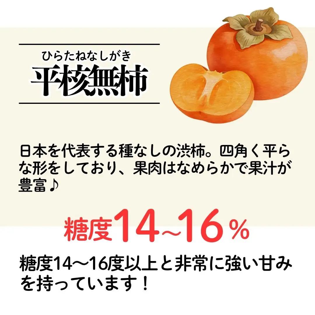 平核無柿 ひらたねなしがき | 新潟県 佐渡市 松丘農園 柿