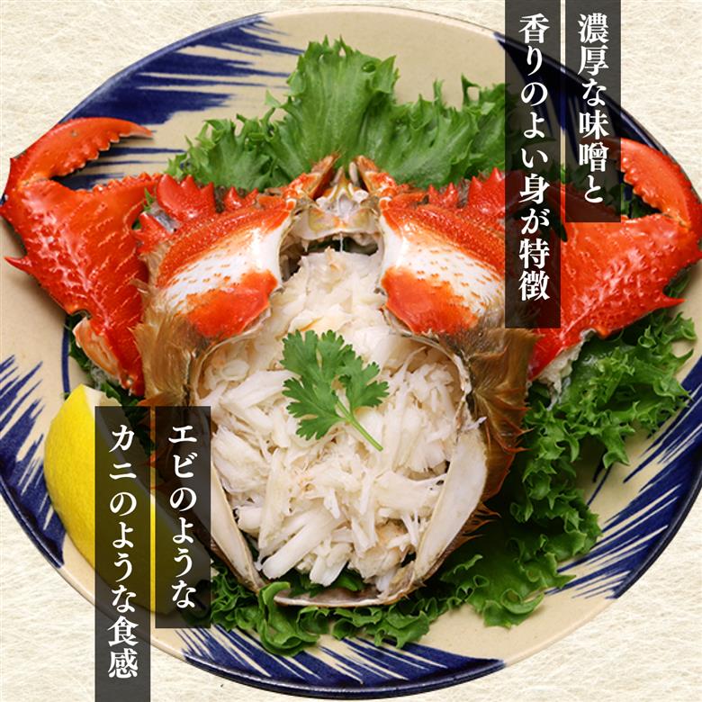 HRAGT-1 宮崎県串間産アサヒガニ 特大サイズ(計約1kg・2~3匹)【合同会社Houryoumaru】