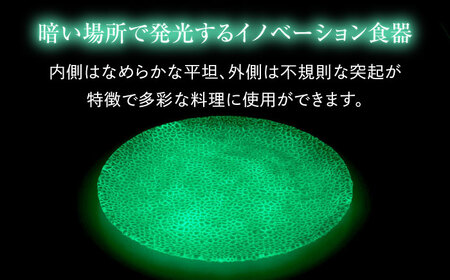 ルミナスシリーズ プレート (大) グリーン 【暗闇に輝く、卓上の新たな魔法】 多治見市 / 丸モ高木陶器  ガラス 皿 食器 化粧箱入り[TBA214]