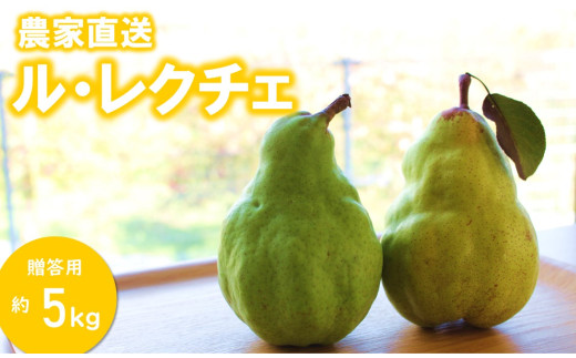 KL04-26A【先行予約】洋梨 ル・レクチェ（大玉）約5kg 贈答／2026年11月下旬頃から配送 // 長野県 松川町 梨 洋梨 洋ナシ ルレクチェ 大玉 産地直送 農家直送 農家支援 果物 フルーツ