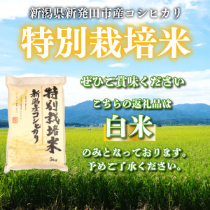 【令和6年産】 新米 コシヒカリ 10kg 5kg 2袋 新潟産 特別栽培米 こしひかり 斗伸 新潟県 コメ お米 米 こめ しんまい 新潟米 新潟 新発田  toushin012