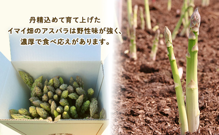 【2027年春発送】半農半画家 イマイ畑 自慢の≪アスパラガス 1kg サイズ混合 約20～25本≫ 露地栽培 北海道 富良野市 (イマイカツミ) 野菜 アスパラ 健康 太い 安心 道産 産地直送