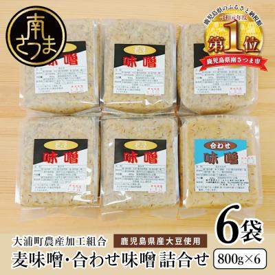 ふるさと納税 南さつま市 【鹿児島県産大豆使用】麦味噌・合わせ味噌詰合せ 計4.8kg (800g×6袋) 麦みそ 調味料