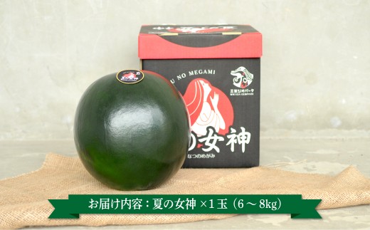 《2026年分受付中》『夏の女神』大玉！種が少なくて甘い黒皮スイカ1玉入（6～8kg）