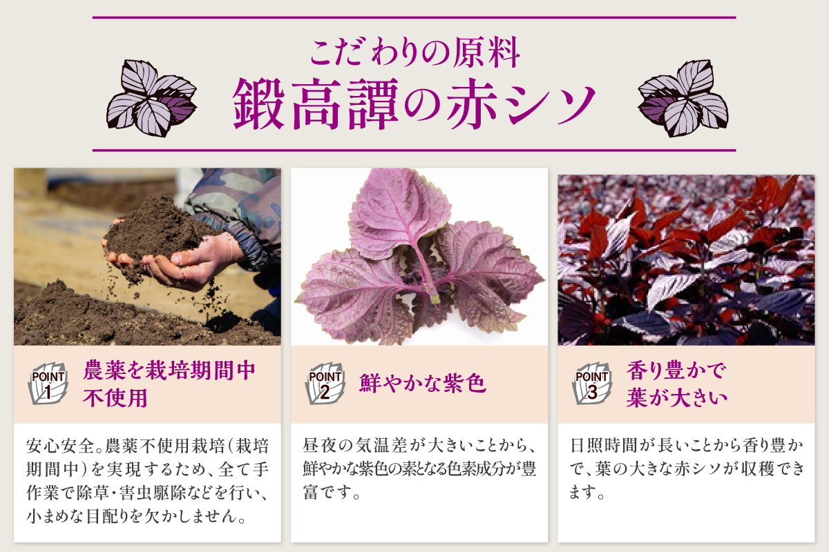 しそ焼酎20°鍛高譚パック［1800ml］【4本セット】
