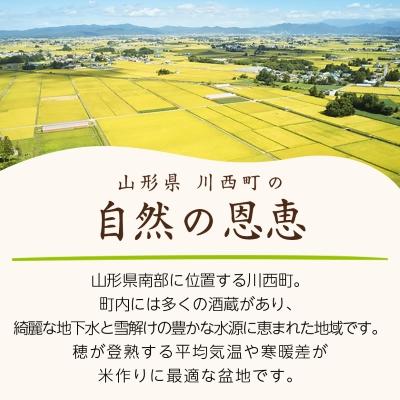 ふるさと納税 川西町 令和7年産　山形県産　雪若丸　10kg(5kg×2袋) |  | 01