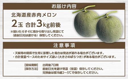 【先行予約】北海道産赤肉メロン合計3kg前後（2玉入）2026年7月中旬から順次発送予定 | メロン _01979