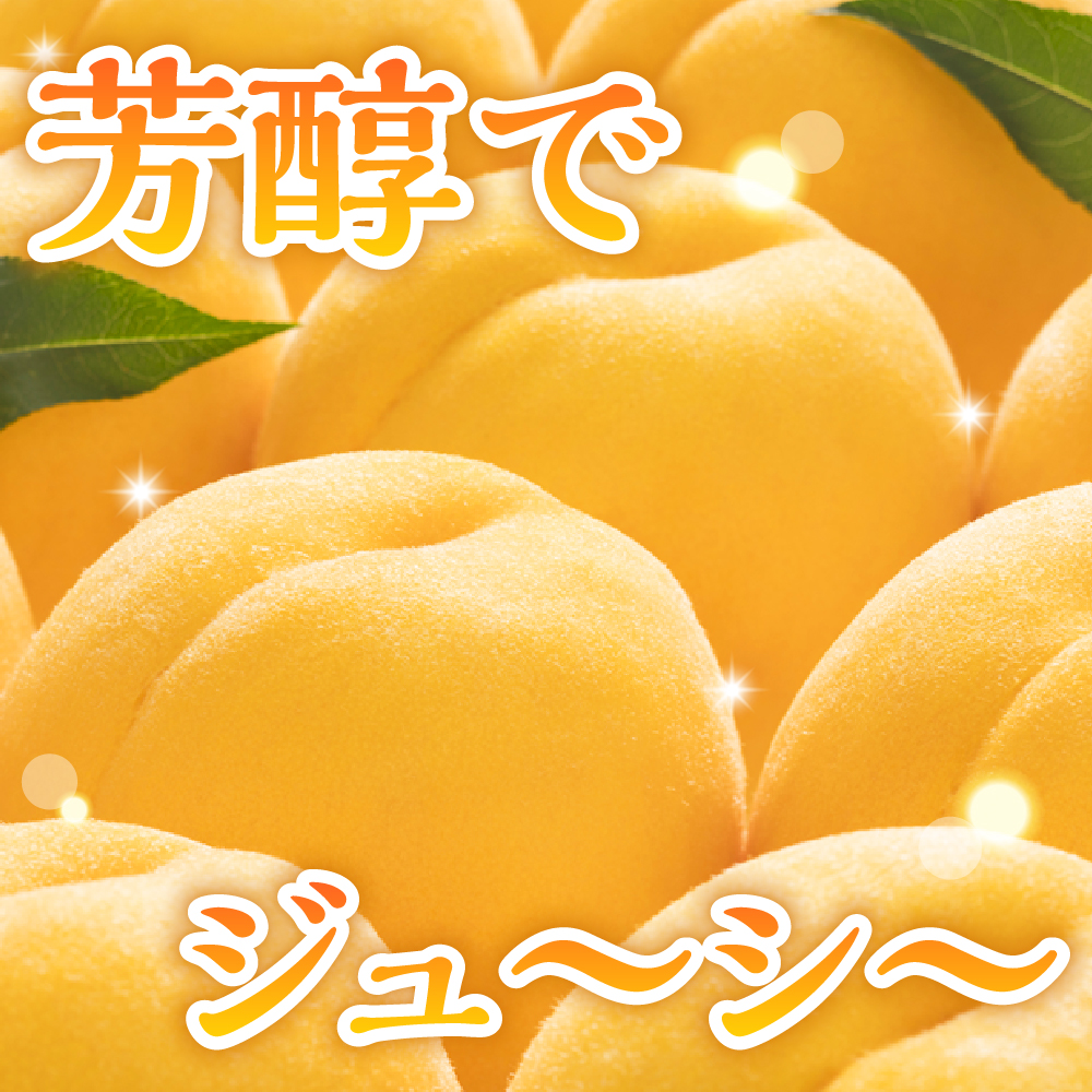 【2026年産 先行予約】 黄桃 (品種おまかせ) 3kg 秀品 化粧箱入り 東根農産センター提供 山形県 東根市 hi027-261