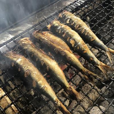 ふるさと納税 藤沢市 伝統200年の味 焼いてあるひものセット【炭火焼】4種 |  | 03