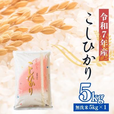 ふるさと納税 福島市 大文字屋米穀店【令和7年産】コシヒカリ精米(無洗米)1等米 5kgNo.2500