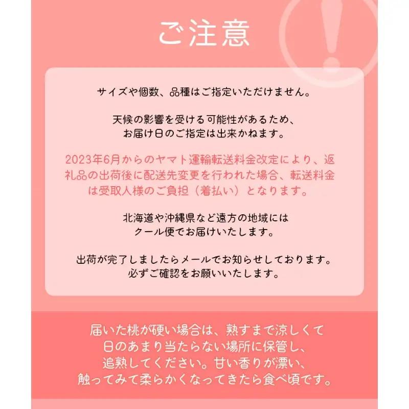 【先行予約受付】和歌山県産の美味しい桃  （11～15玉入り）【2026年6月中旬頃から8月上旬頃順次発送予定】 和歌山 もも モモ 桃 ギフト 贈り物 プレゼント 夏ギフト 果物 フルーツ 人気 産