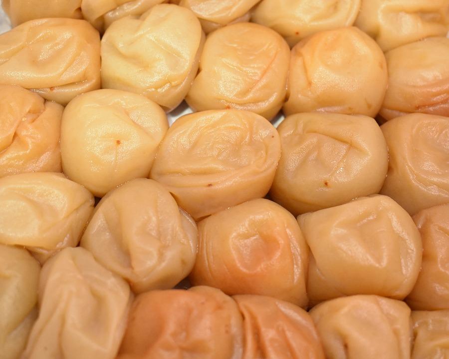 高級南高梅うす塩・邑咲(昆布旨味） 個包装計20粒入 紀州塗箱 網代模様仕上げ 【SW78】