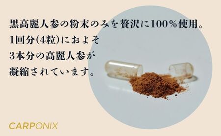 黒高麗人参「CARPONIX」60粒入り×1袋 【定期便 12ヶ月】 サプリメント サプリ 黒高麗人参 カプセル ジンセノサイド 千葉市