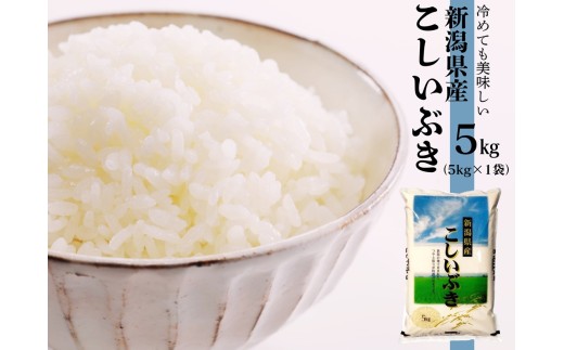 【こしいぶき 5kg】令和7年産 新潟産こしいぶき 5kg 白米 精米 関口商店|新潟県産こしいぶき阿賀野市産こしいぶき 阿賀野産こしいぶき 阿賀野こしいぶき こしいぶき お米 米 ブランド米 おこめ コメ 5キロ 有機質肥料 にいがた あがの 新潟県 阿賀野市 1N16009