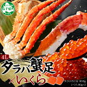 【ふるさと納税】 3092. カニ 蟹 タラバガニ足 800g 4L いくら醤油漬け 80g×2 セット かに肉 カニ タラバ蟹 たらば蟹 タラバガニ 蟹足 カニ足 かに足 脚 たらばがに いくら イクラ 食べ方ガイド・専用ハサミ付 海鮮 送料無料 40000円 北海道 弟子屈町