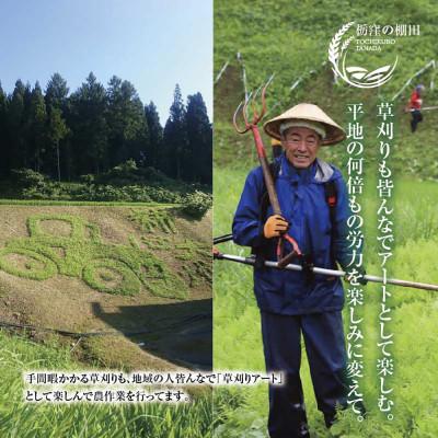 ふるさと納税 南魚沼市 【毎月定期便】【産地限定 棚田米】 新潟県 南魚沼 コシヒカリ 10kg 精米 日熊の米 棚田全6回 |  | 02