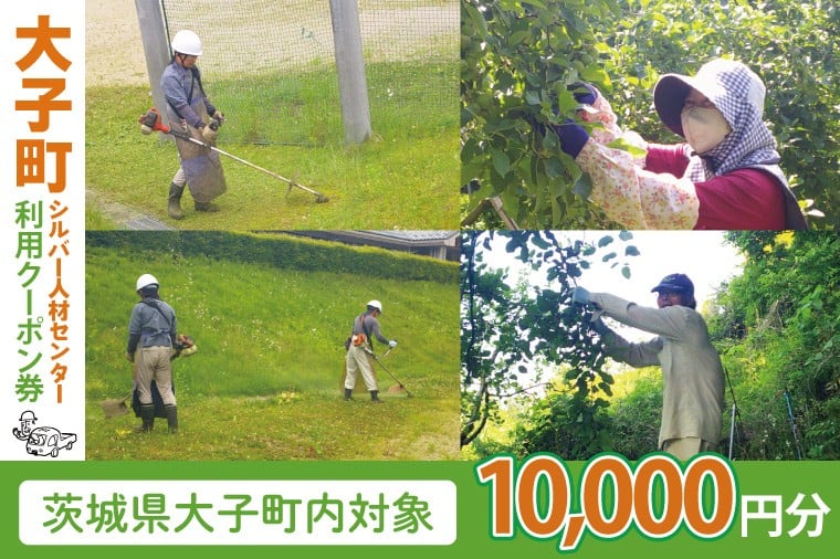 
            【大子町内限定】大子町シルバー人材センター　利用クーポン券　10,000円分｜利用券 チケット 補助 代行 庭 空き地 草刈り 除草 お墓 清掃 家 片付け 窓拭き 茨城県(CR002)
          