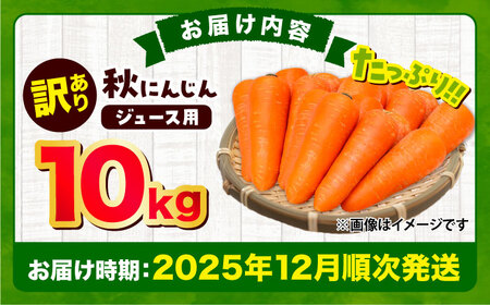 【先行予約】【2025年12月順次発送開始】ジュース用秋にんじん(訳あり) / にんじん 規格外にんじん にんじんジュース わけありにんじん 訳ありにんじん はるにんじん