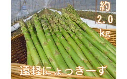 2026年 春アスパラ2kg ( ふるさと納税 アスパラガス グリーンアスパラ 野菜 健康食材 天ぷら 炒め物 パスタ サラダ 大容量 北海道 遠軽町 えんゆう農業協同組合 ) en01-00003
