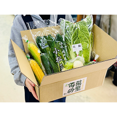 季節の京都府久御山野菜詰合せ【配送不可地域：離島・北海道・沖縄県】