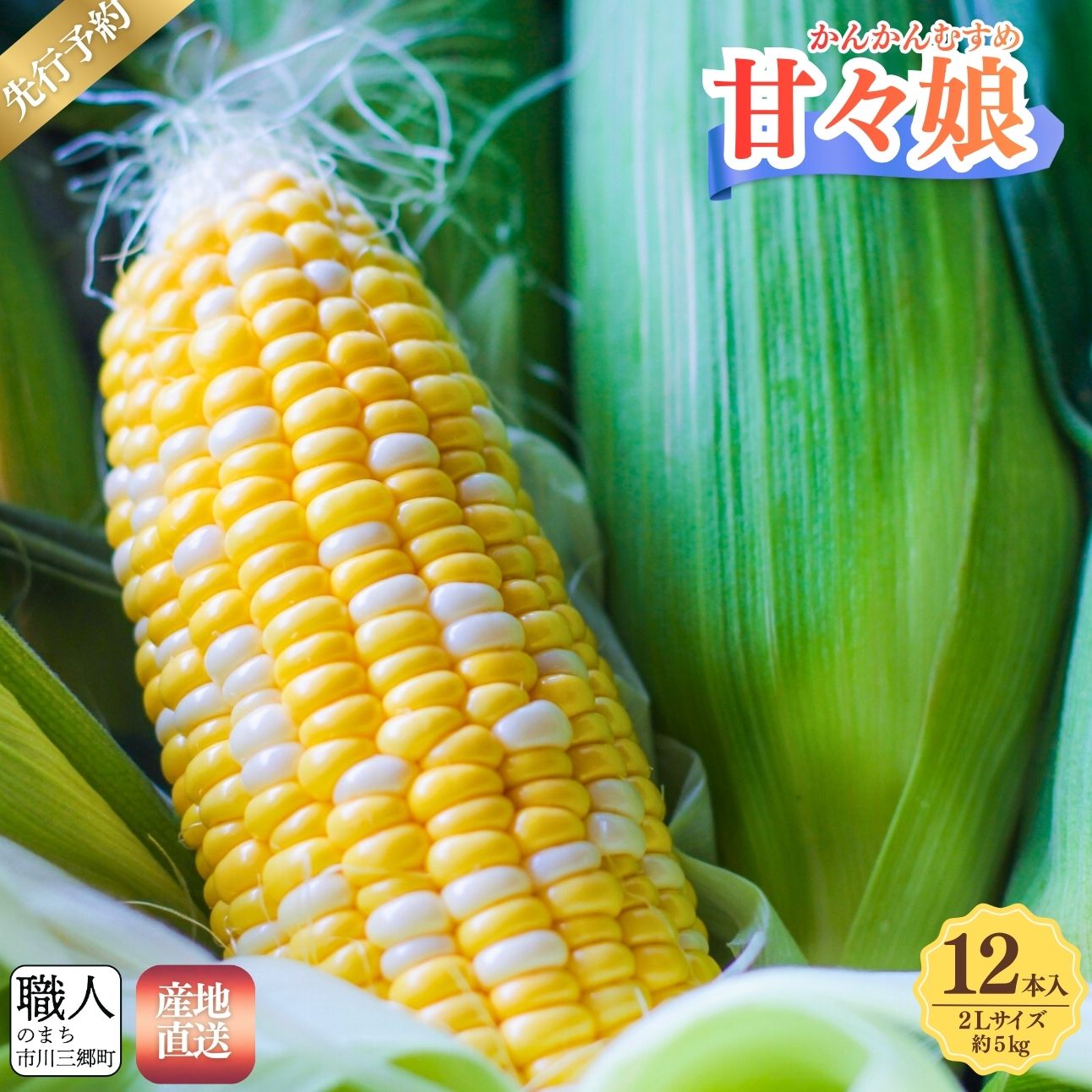 【ふるさと納税】甘々娘 とうもろこし 2L サイズ 12本入り【2026年 6月上旬から 発送】イチマル農園 先行予約 先行 トウモロコシ とうもろこし もろこし コーン スイートコーン 甘々娘 人気 野菜 ランキング 旬 季節 採れたて 朝採り 産地直送 山梨 市川三郷 [5839-2329]