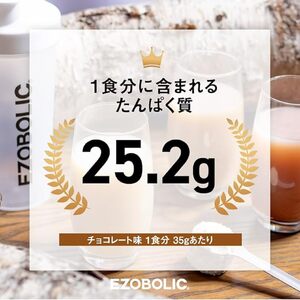 【定期便3回】チョコレート風味 EZOBOLIC プロテイン 3kg プロテインLG