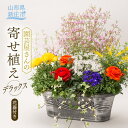 【ふるさと納税】園芸屋さんの寄せ植えデラックス 植物 花 寄せ植え 園芸 贈り物 ギフト プレゼント 山形県 新庄市 F3S-0808