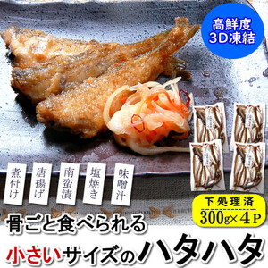 小さいサイズのハタハタ　計1.2kg(300g×4パック)下処理済 小分け 煮付け 塩焼き 唐揚げ　【配送不可地域：離島】【1453858】