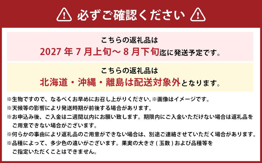 岡山白桃 ロイヤル 5～10玉 約2kg 岡山県産
