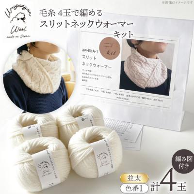 ふるさと納税 江南市 毛糸4玉で編めるスリットネックウォーマーキット 1番色