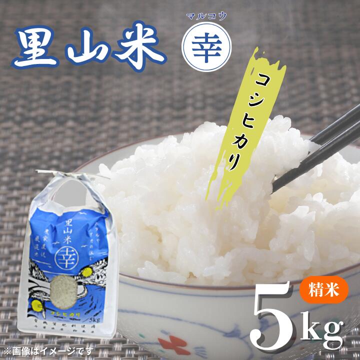 【ふるさと納税】里山米マルコウ　コシヒカリ　5kg　精米　精米 ／ 米 こめ コメ お米 おこめ コシヒカリ こしひかり 令和7年産 新米 白米 精米 ごはん ご飯 5kg 千葉県 匝瑳市 送料無料
