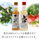 【ふるさと納税】 FT18-176 玉川村野菜のお酢セット