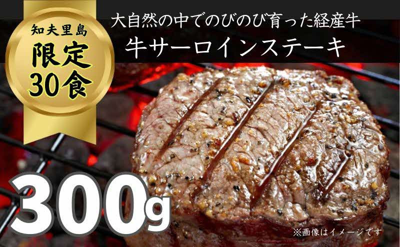 
            限定30セット【知夫里島】経産牛サーロインステーキ３００g
          