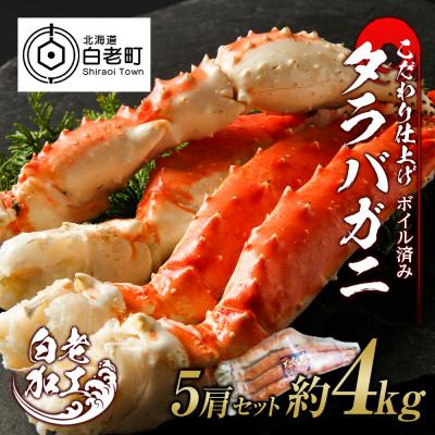 ふるさと納税 白老町 タラバ 脚 ボイル済み 冷凍 シュリンク済み 5肩セット 約4kg BM010