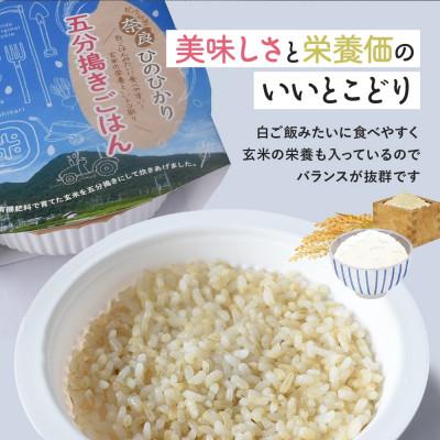 ふるさと納税 葛城市 石田農園 パックごはん(5分搗) 150g 計20個セット |  | 01
