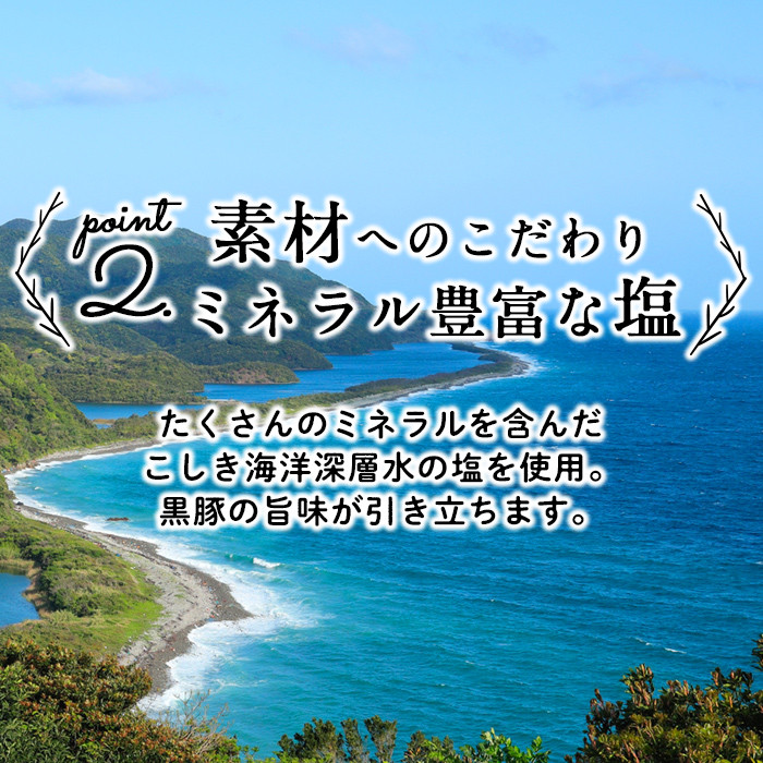 鹿児島県産黒豚使用！黒豚MEGUMIウインナー3種セット(プレーン・ジンジャー・ガーリック 各2P)計6P a1-115