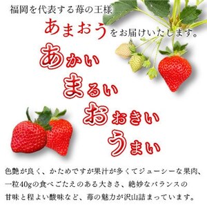 【2026年1月下旬～順次発送予定】福岡県産 あまおう 合計約540g 約270g×2パック(水巻町【配送不可地域：離島】【1685380】