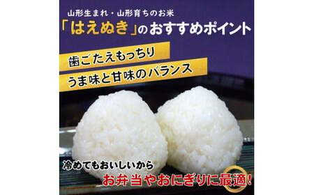 マイスターがつくる　はえぬき　白米　5kg（飯豊町産）【新米予約】(R7年産）