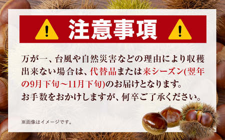 GI認証登録 山江村の やまえ栗 生栗 2kg 品種指定なし 筑波 美玖里 など旬の品種 やまえ栗ブランド部会 有限会社やまえ堂《9月上旬-10月下旬頃出荷》熊本県 球磨郡 山江村 栗 くり フルーツ